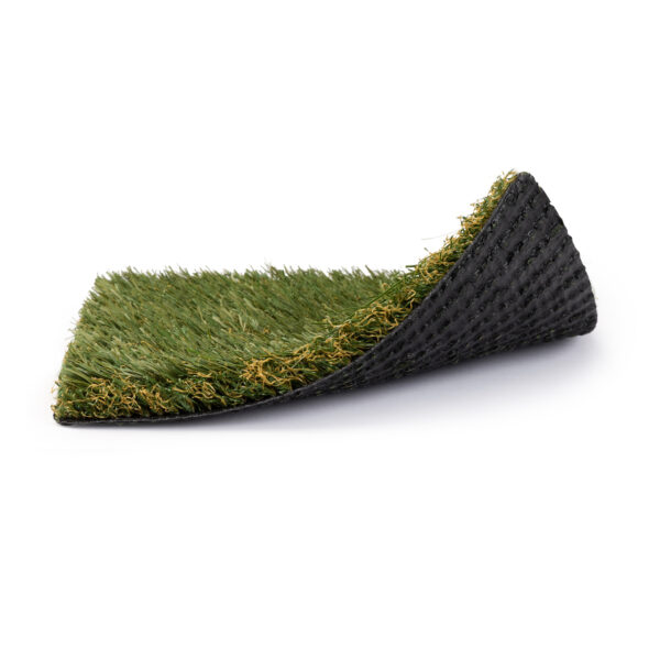 Salado 77 - Image 2