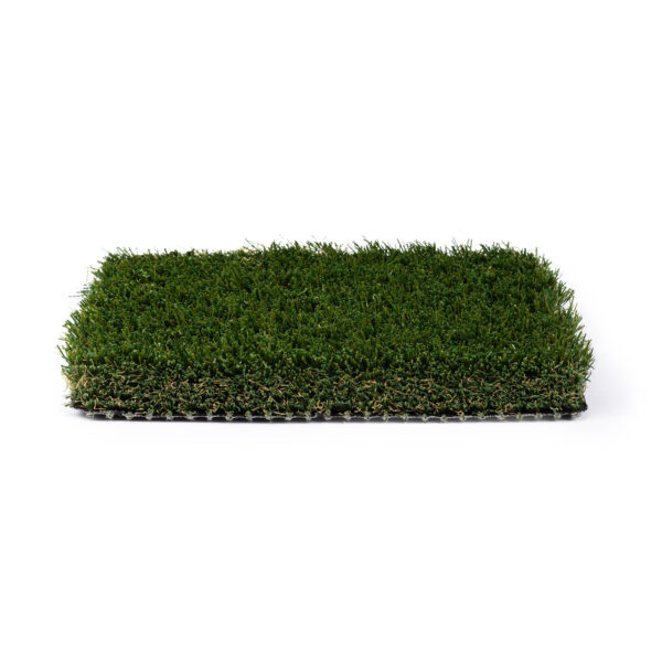 Meadow 80 - Image 6