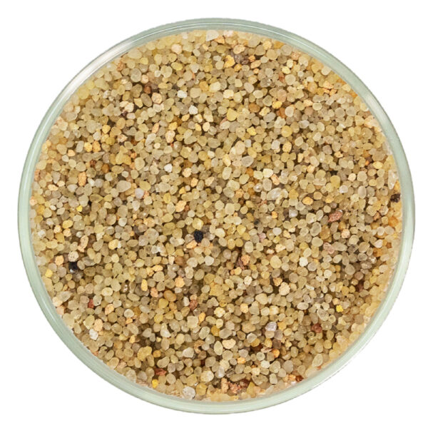 Aggregate-Dish-1